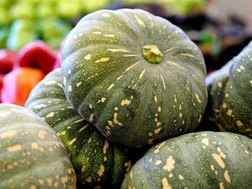 గుమ్మడికాయ Pumpkin