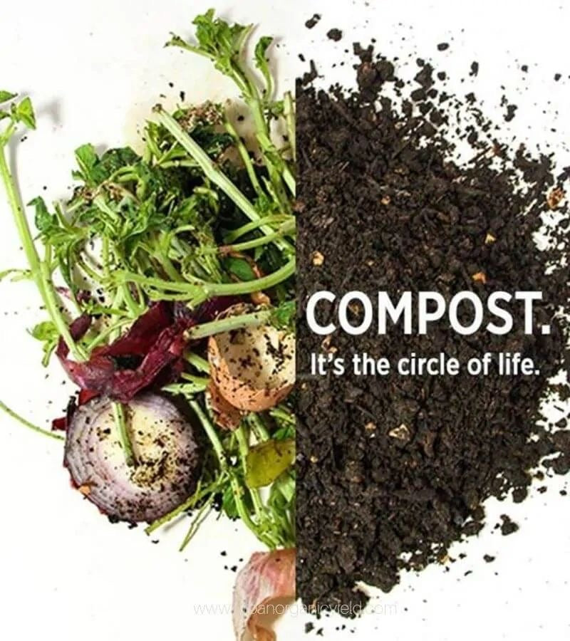Animal Bio Compost