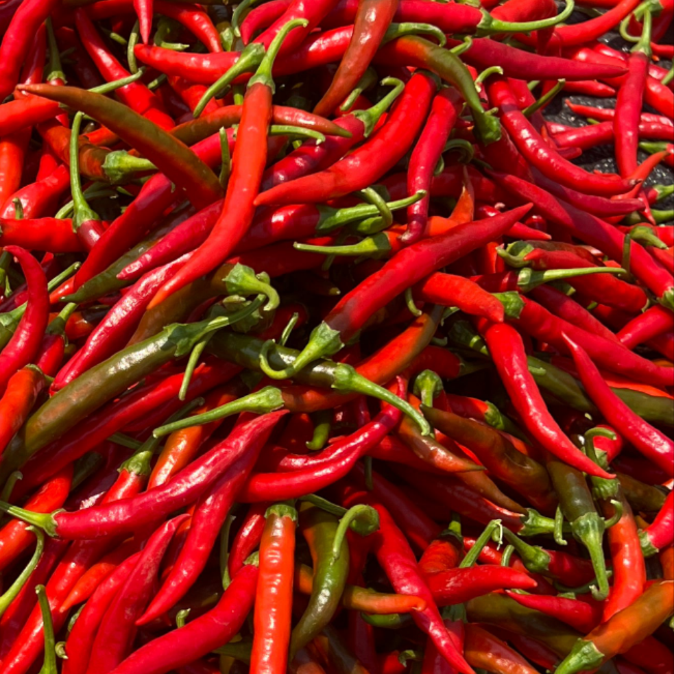 50% Chapata + 50% Armour Chilli Powder