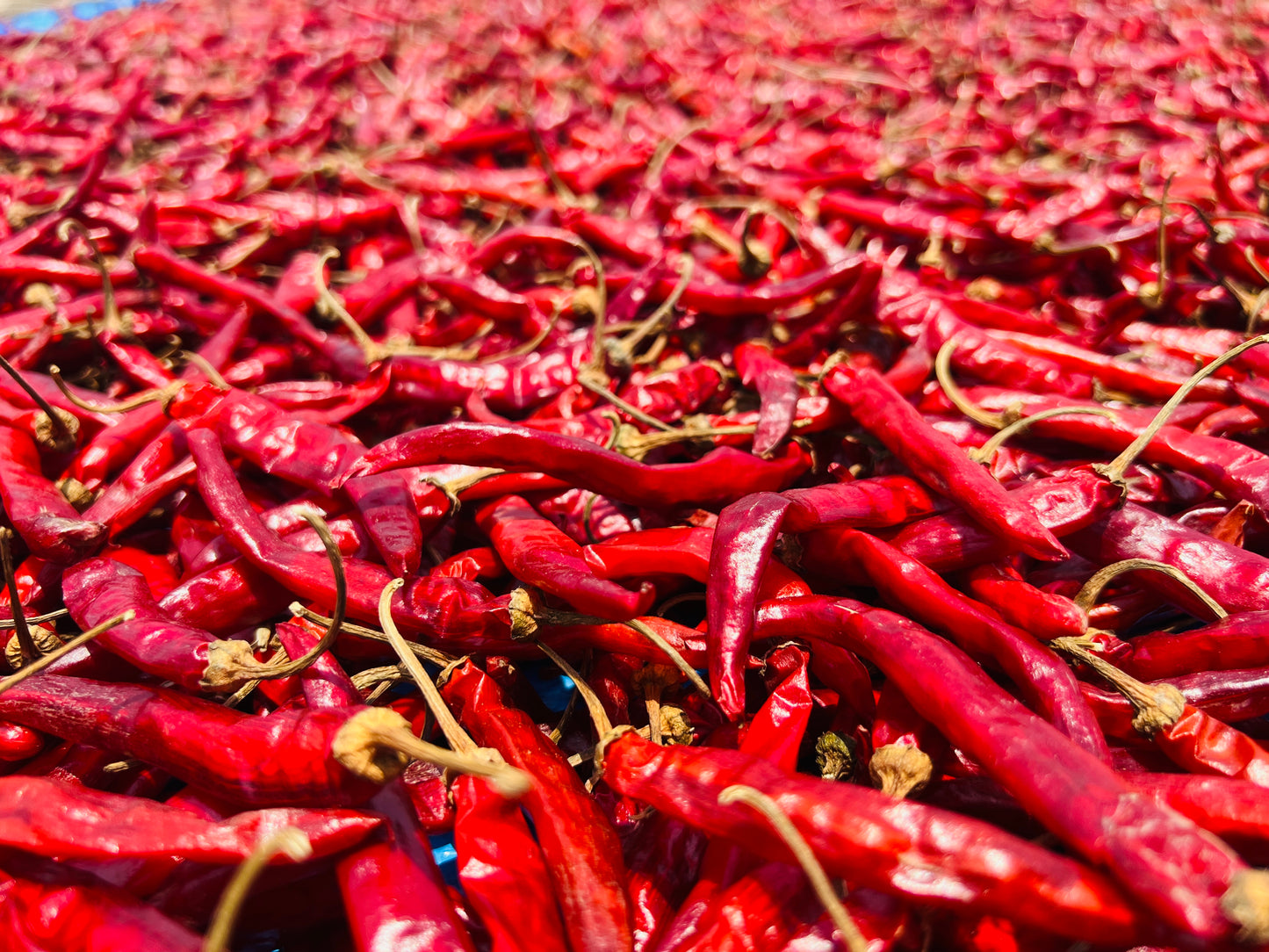 Armour Dried Red chillis