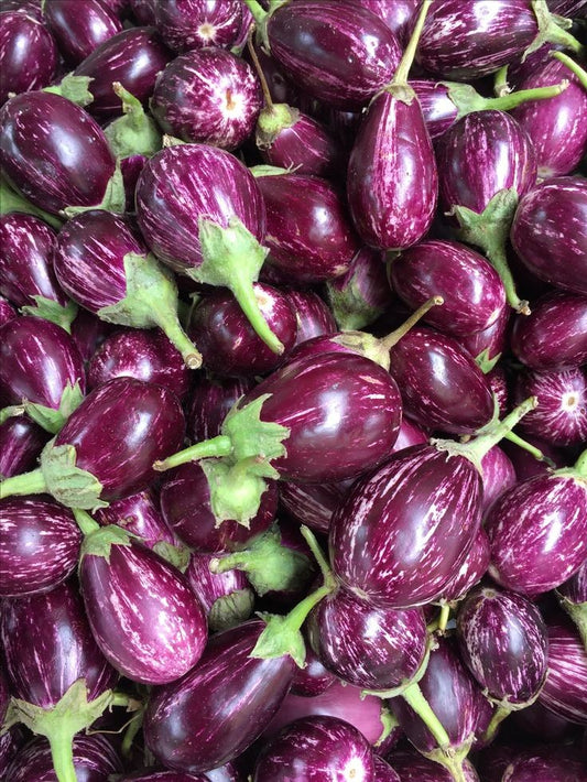 Purple Brinjal