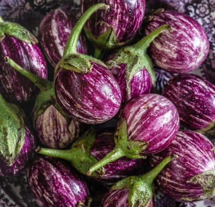 Purple Brinjal