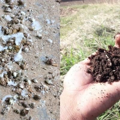 Poultry Manure