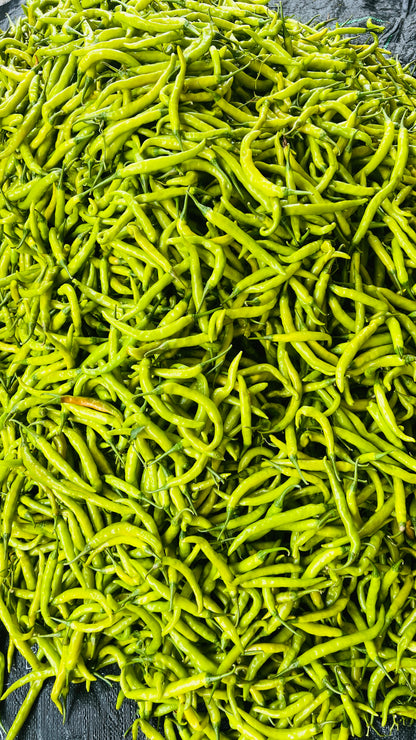 Green Chilli