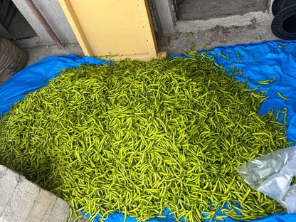 Green Chilli