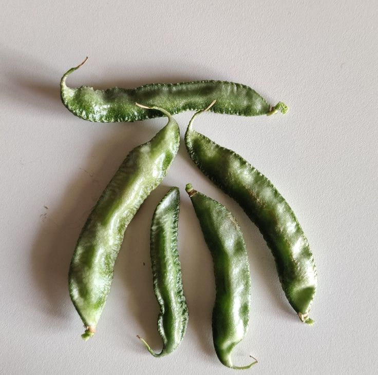 చిక్కుడుకాయ Broad Beans