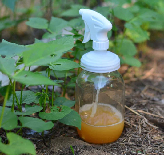 Natural Soap Solution