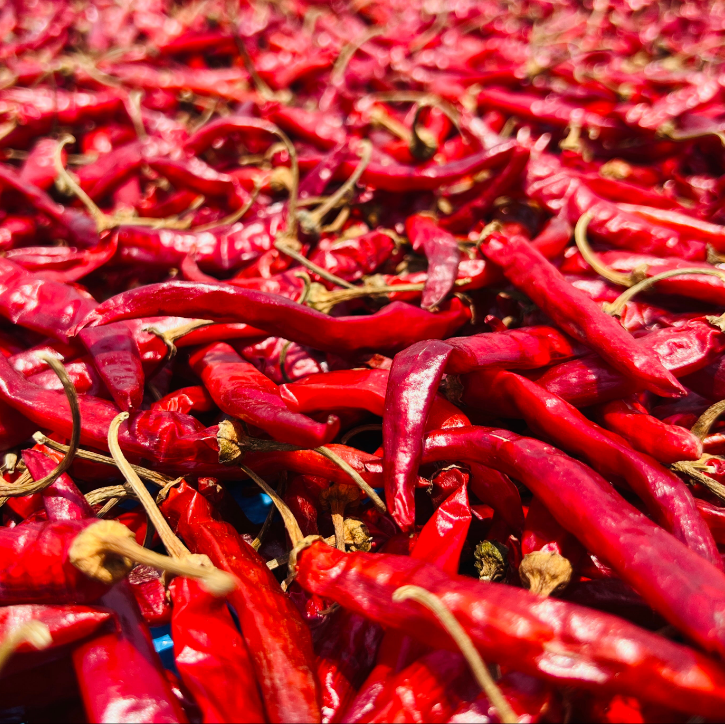 50% Chapata + 50% Armour Chilli Powder